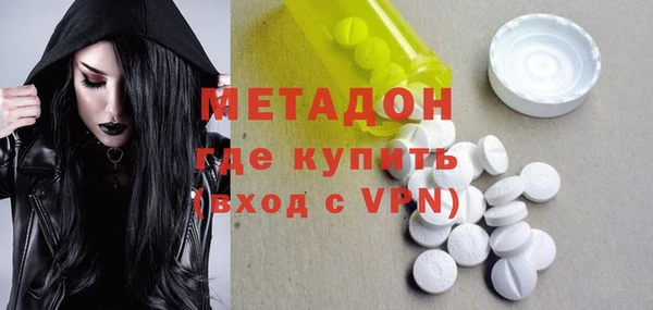 прущие грибы Абаза