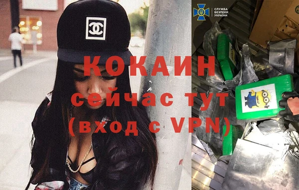 амф Алексин