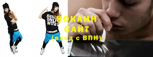 амф Алексин