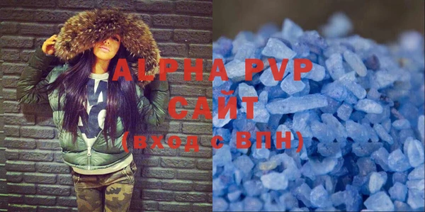прущие грибы Абаза