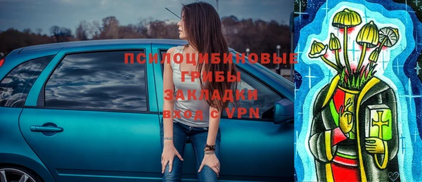 прущие грибы Абаза