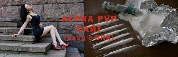 прущие грибы Абаза