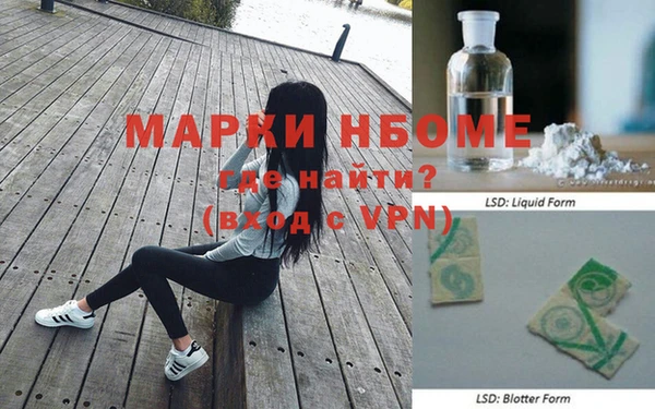 прущие грибы Абаза