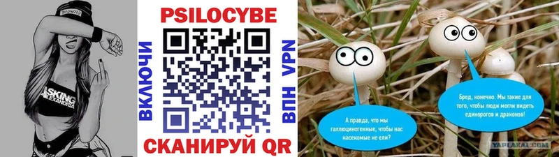 Галлюциногенные грибы GOLDEN TEACHER Калачинск